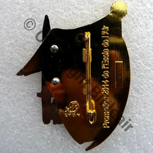 NH  ECOLE AIR PROMO EA.2014 SLT PEGOUD  FIA Sigle rond Griffes et butees Dos lisse  Relief Promo 2014 EA No149 Src.Y.GENTY 31Eur(x5) 